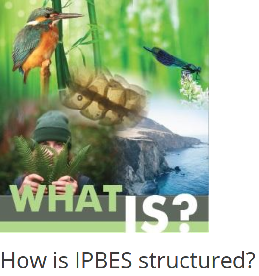 IPBES3.png