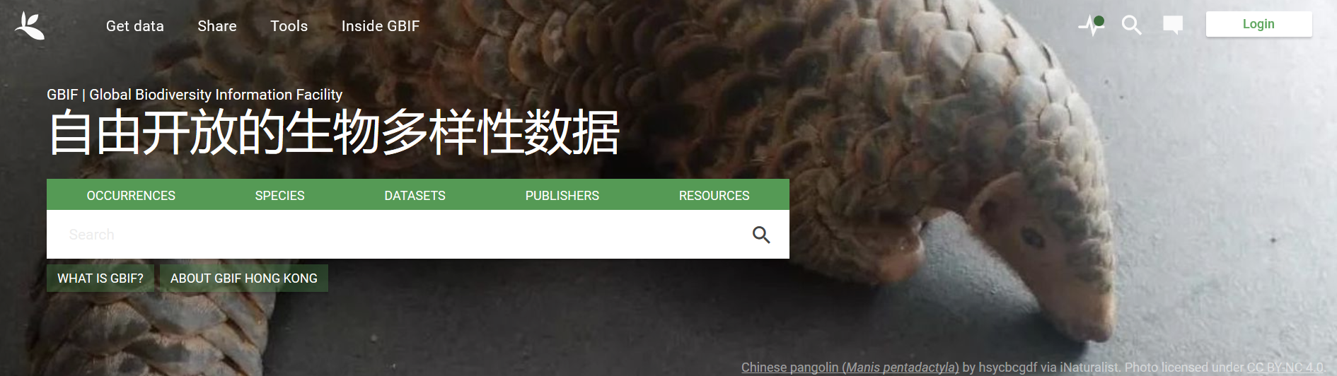 GBIF fixed its homepage as Qiqi to congratulate CBCGDF on the successful entry of Chinese pangolin data (Photo gbif org).png