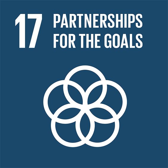 联合国可持续发展目标（UN SDGs）第17项：促进目标实现的伙伴关系（来源：the United Nations).jpg