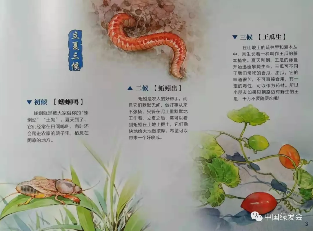 比如"立夏"有三候,分别是三种动植物:蝼蝈,蚯蚓,王瓜.
