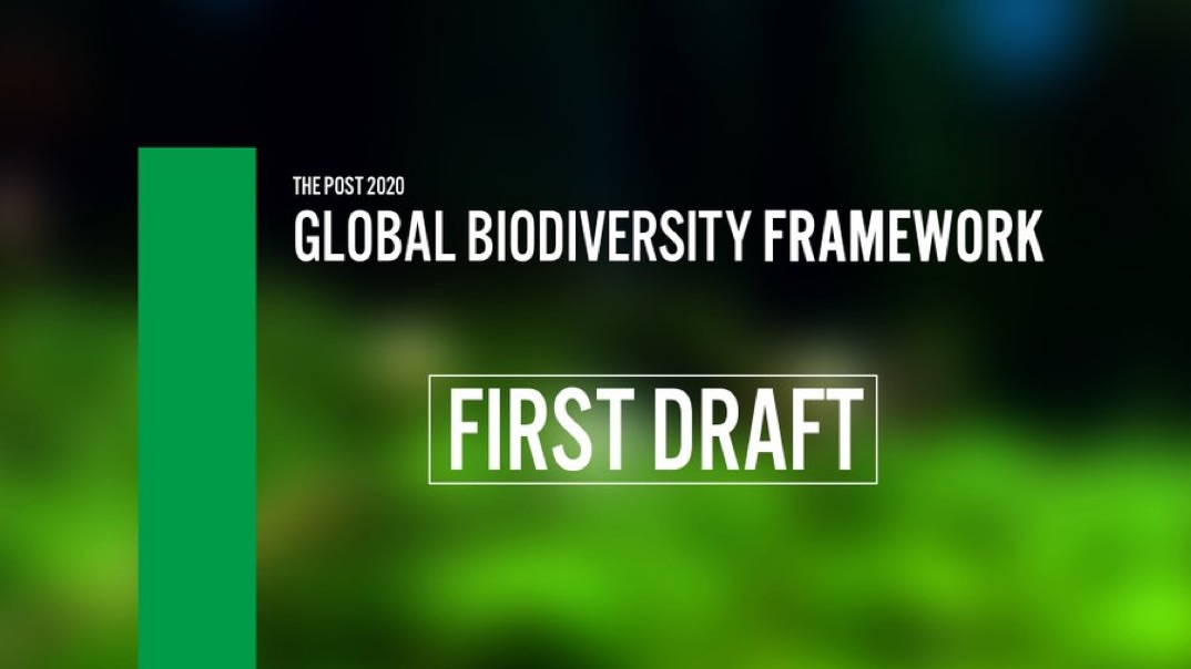 图片1：《2020年后全球生物多样性框架（壹案文）》中译版.png
