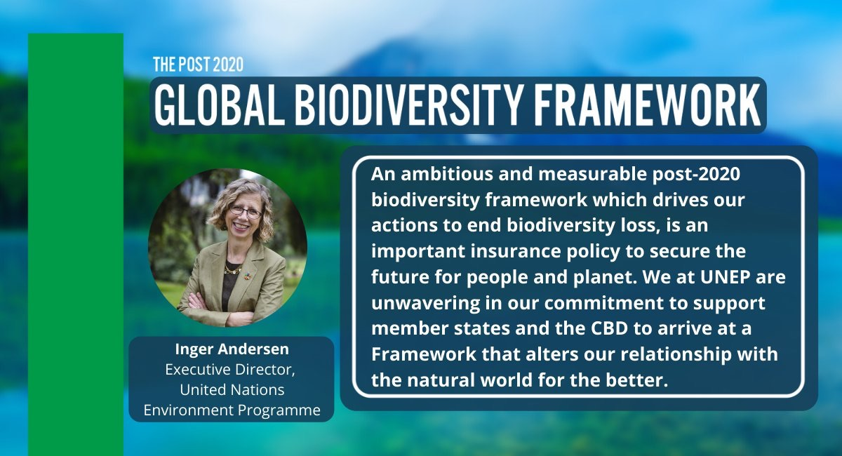 图片6：《2020年后全球生物多样性框架（壹案文）》中译版.png