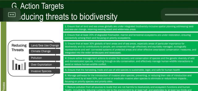 图片9：《2020年后全球生物多样性框架（壹案文）》中译版.png