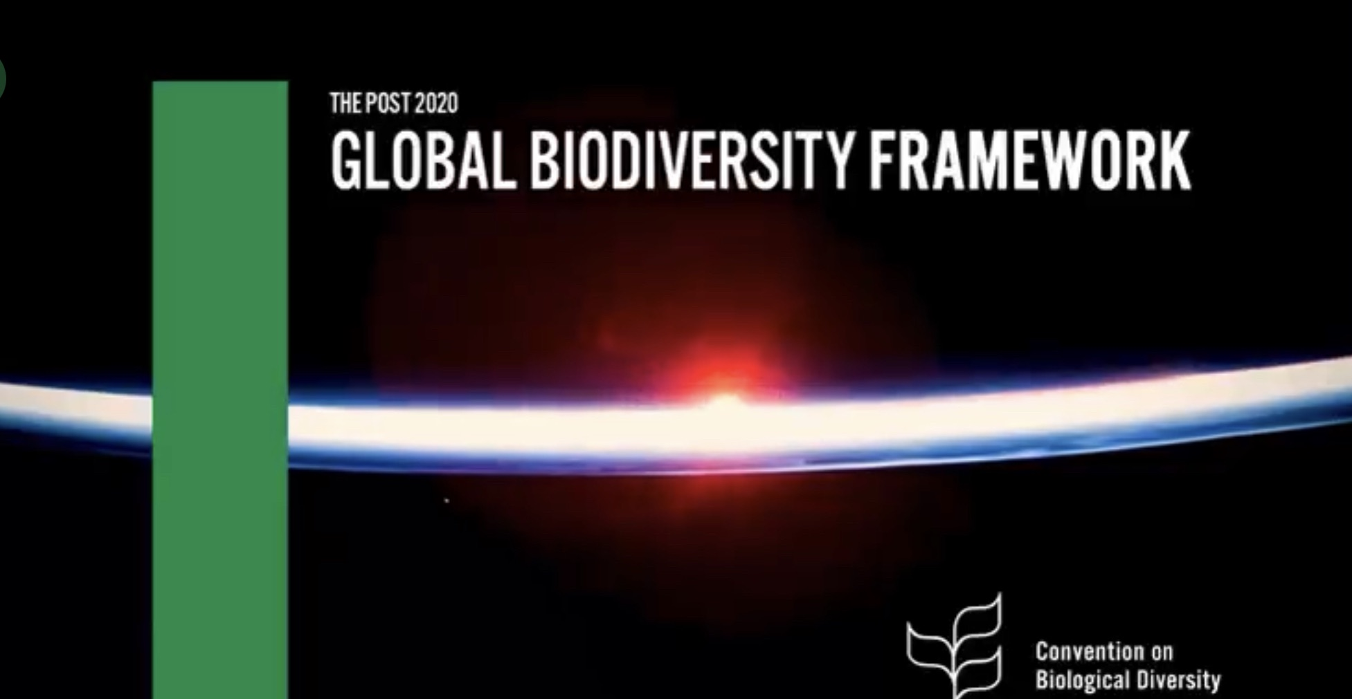 图片8：《2020年后全球生物多样性框架（壹案文）》中译版.png