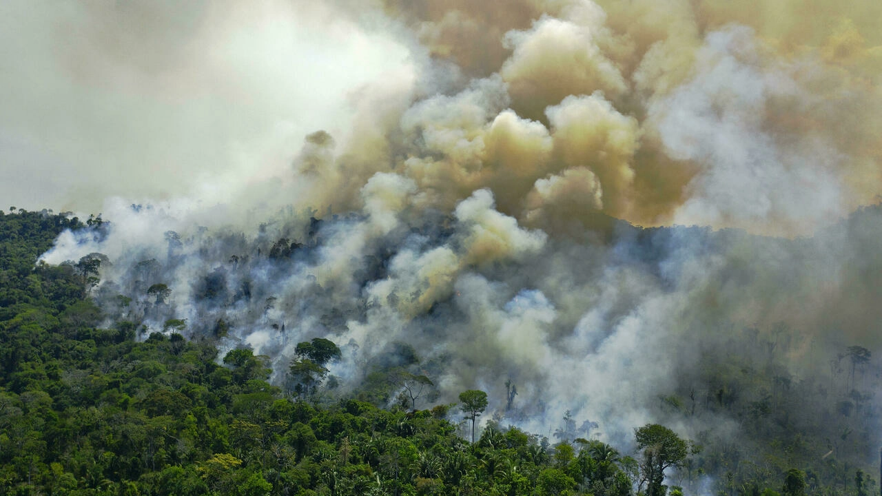 2.亚马逊森林熊熊燃烧。图源：FlockImage.png