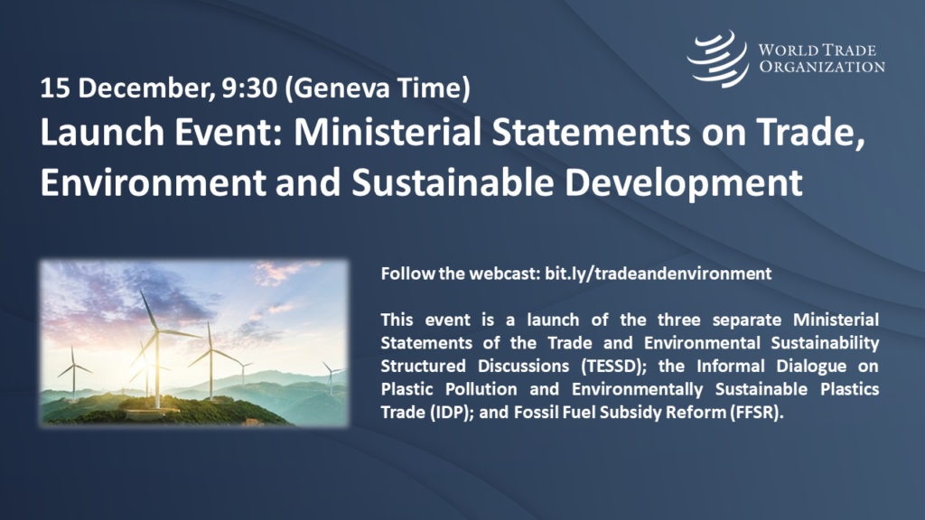 WTO将连发三份“贸易、环境与可持续发展”部长级声明.png