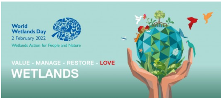 2022年的世界湿地日主题：为人类和自然的湿地行动.png