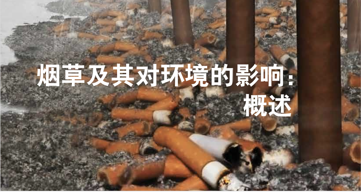 烟草对环境的危害：比你想象的更严重1.png