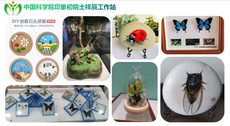 新春新去处，济阳区美术馆举办黄河流域生物多样性昆虫科普文化展4.png