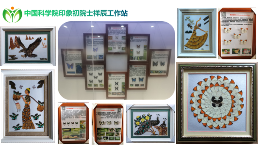 黄河流域生物多样性昆虫科普文化展于2月7日开展1.png