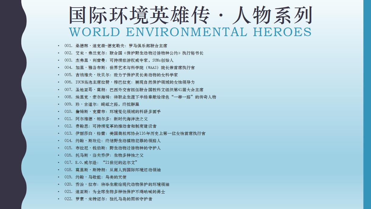 国际环境英雄传.png