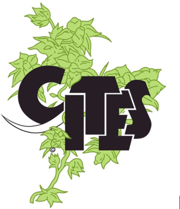 绿会代表团向CITES公约管理机构国家林草局野生动植物保护司申请推荐函（工作记录）.jpg