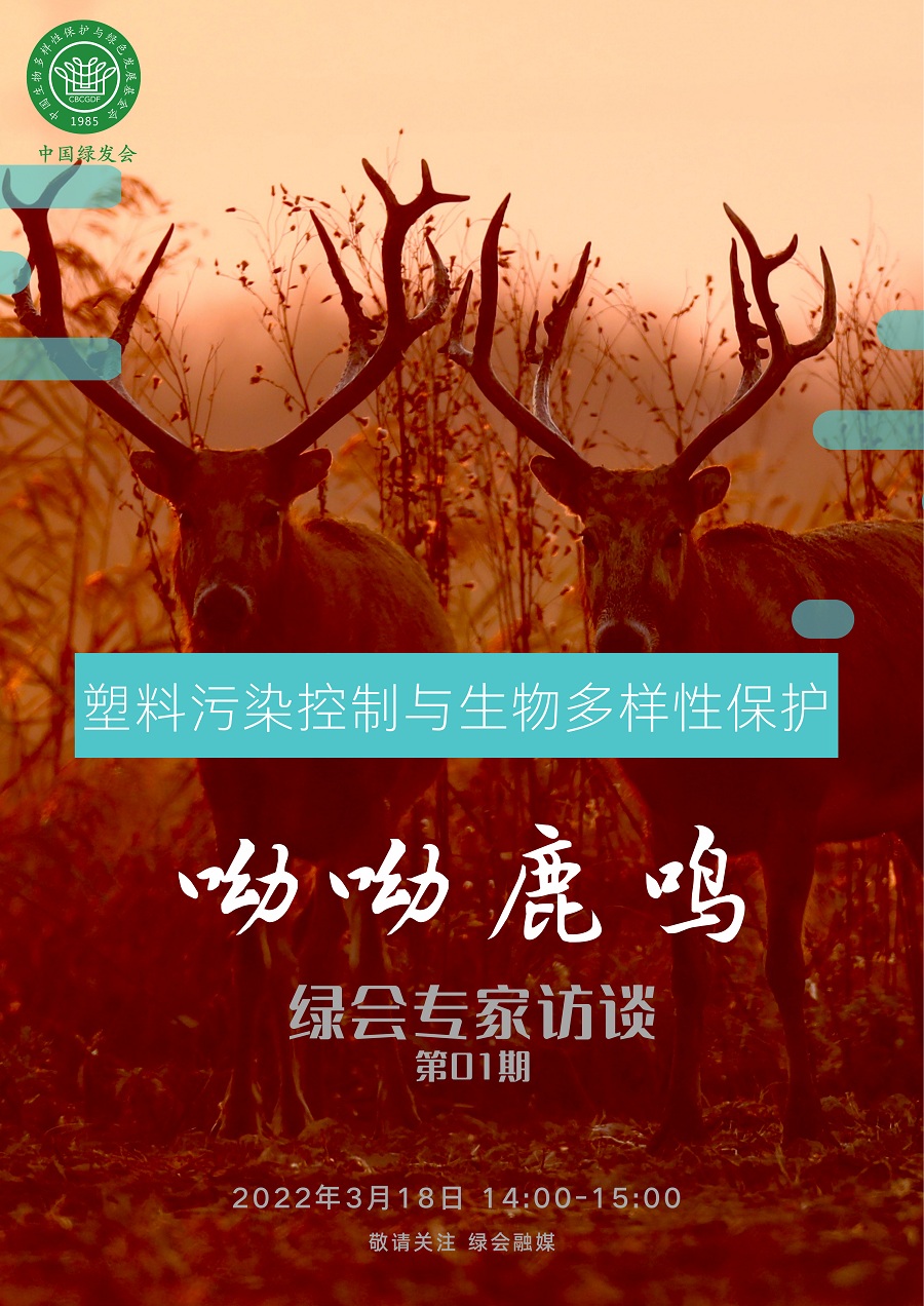 北京市民王鲁海：如何看待塑料污染与生物多样性保护1·.jpg