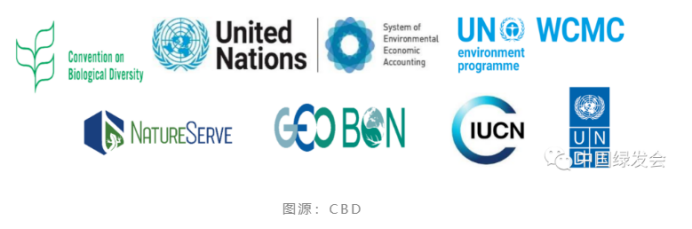 2020后全球生物多样性框架指标技术会议提名专家.png