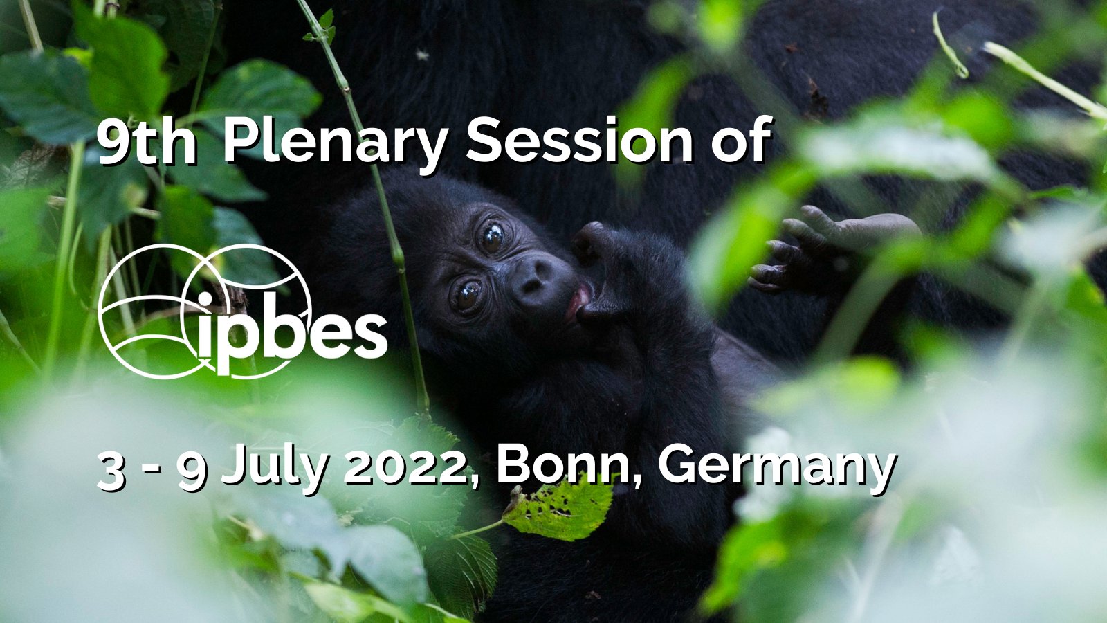绿会IPBES-9代表团准备就绪，将派4名成员参加生物多样性和生态系统服务政府间科学政策平台第九届会议2.jpg