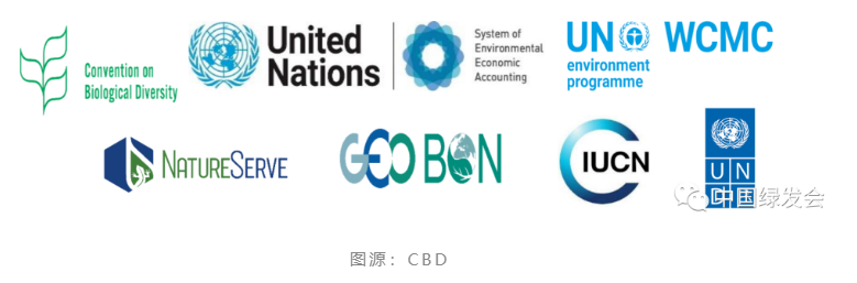 绿会国际部已向CBD提交相关建议：关于审查《生物多样性公约》下的技术和科学合作方案和倡议1.png