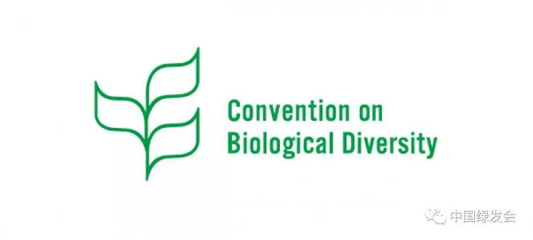 绿会国际部受邀参加CBD与IUCN联合主办“国家红色名录及其与2020年后全球生物多样性框架的联系”研讨会1.png