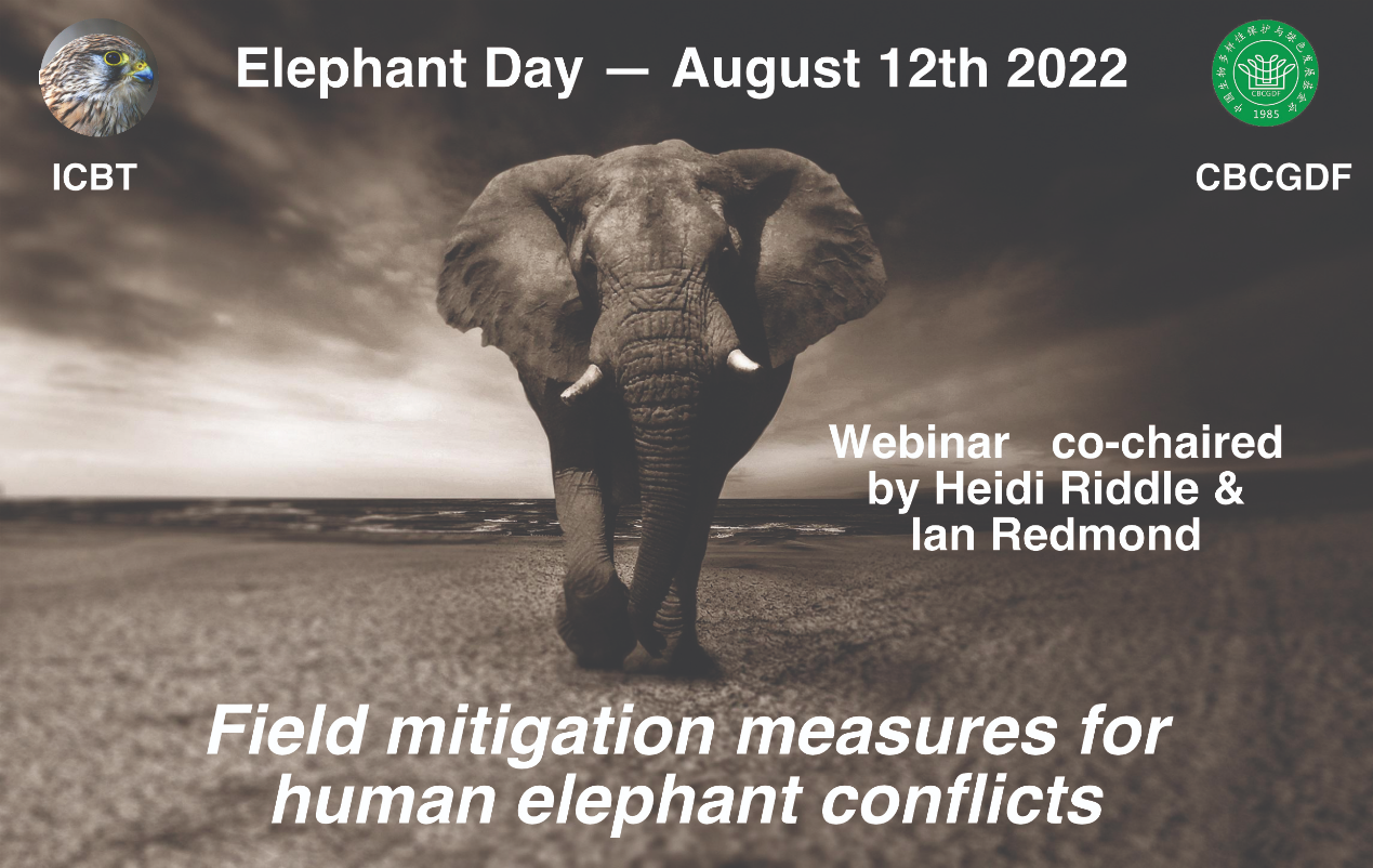 地球重获平衡动物保护专家瓦利德·阿尔苏夫将参加绿会2022年世界大象日会议1.png