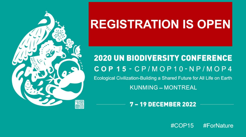 绿会国际部就CBD COP15代表团事宜与加拿大留学中国青年代表召开线上会议.png