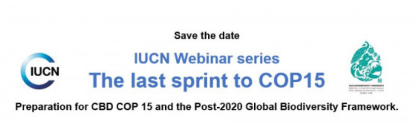 IUCN将为迎接CBD COP15举办系列网络会议：采取决定性和变革性行动.png