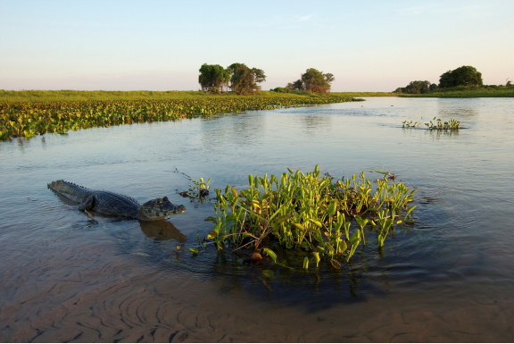 IUCN RAMSAR COP14活动：发掘湿地在应对气候变化和生物多样性丧失方面的潜力1.png
