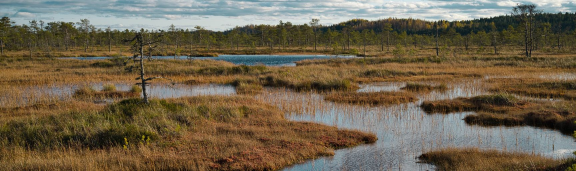 IUCN RAMSAR COP14活动：发掘湿地在应对气候变化和生物多样性丧失方面的潜力2.png