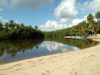 Ramsar COP14：多米尼加共和国将两处湿地列入国际重要湿地名录2.png