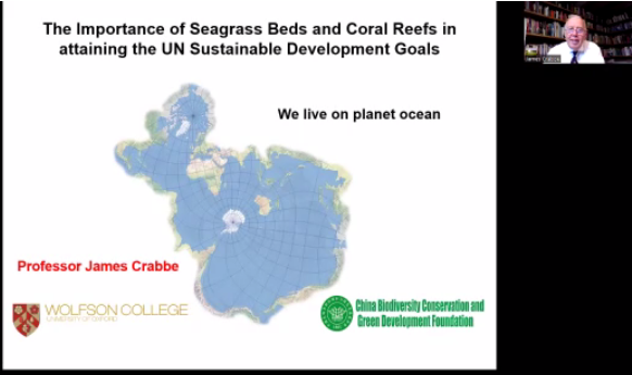 詹姆斯·克雷布：海草床和珊瑚礁在实现联合国可持续发展目标中的重要性2.png