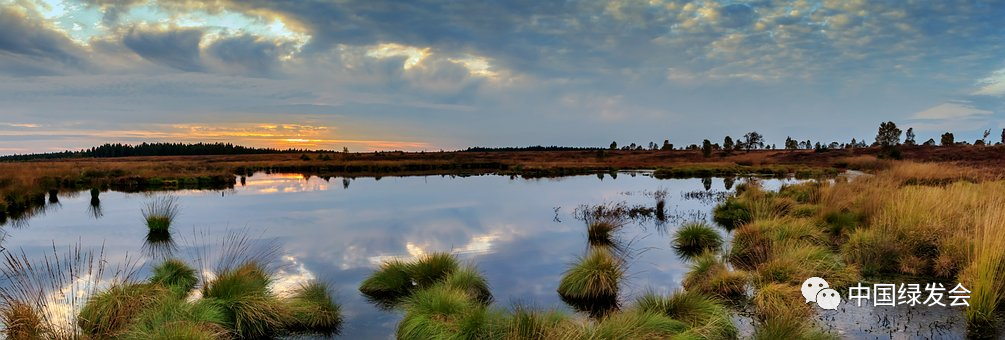 《全国湿地保护规划（2022—2030年）》印发1.png