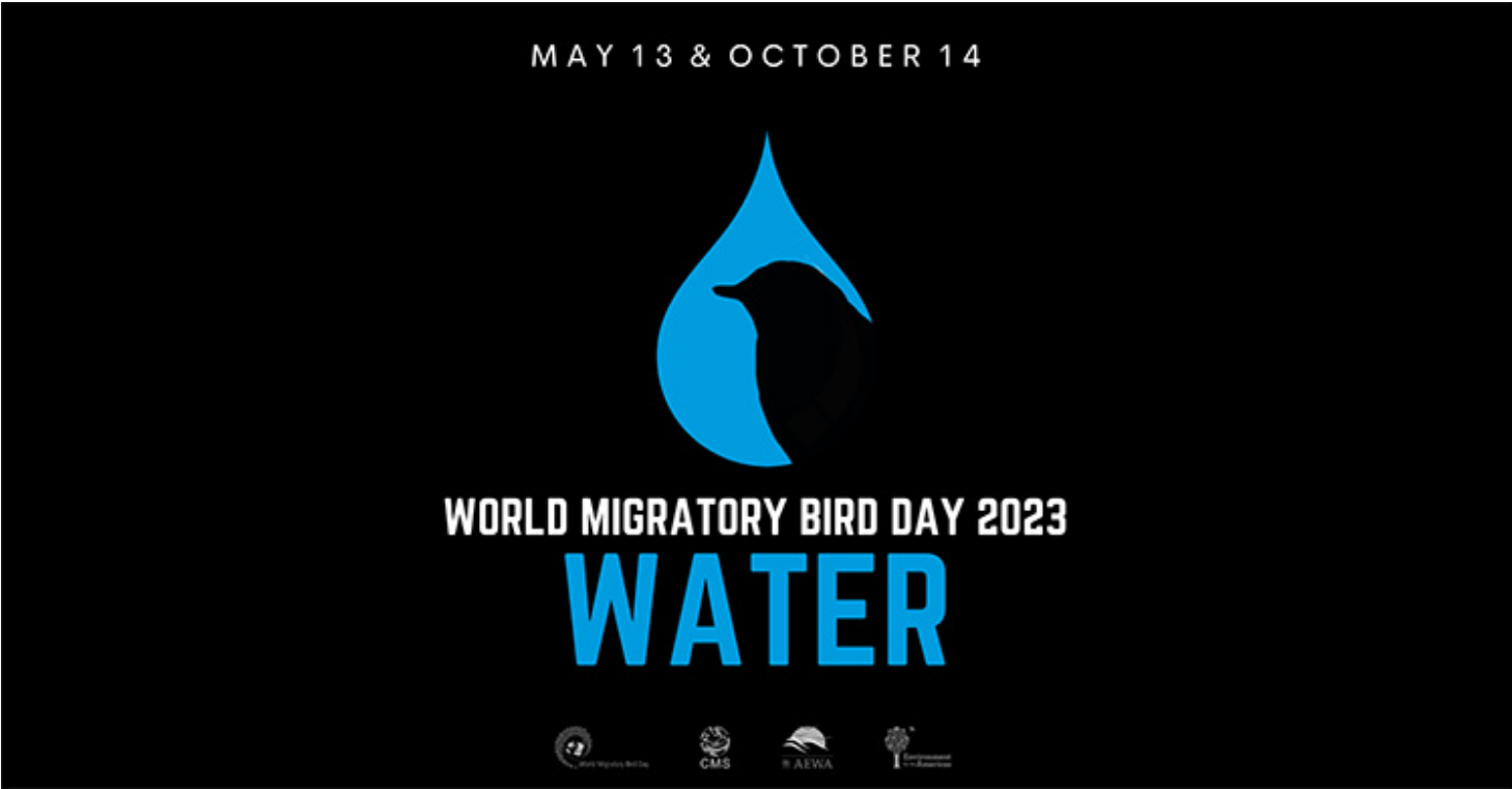 2023年世界候鸟日：水及其对候鸟的重要性.png