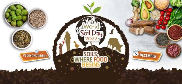 2022年世界土壤日——土壤：食物之源2.png