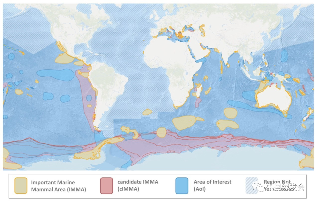 IUCN：36个新的重要海洋哺乳动物区域（IMMA）获批！2.png