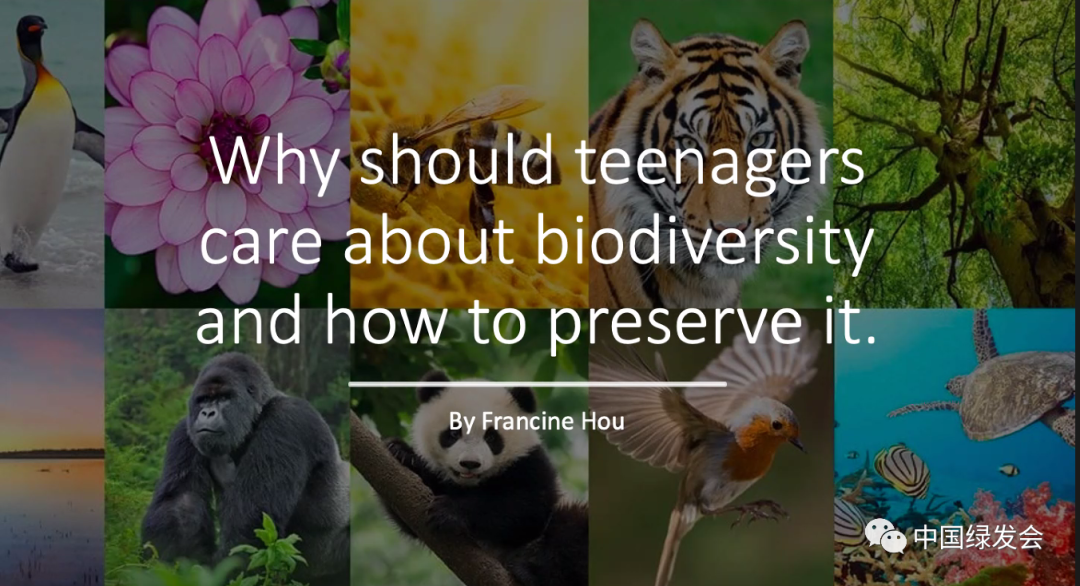 Francine Hou：为什么青少年应该关心生物多样性以及如何保护3.png