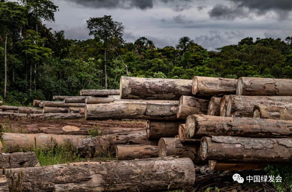IUCN：欧盟通过零毁林产品法规—有效的补充措施是保护的关键.png