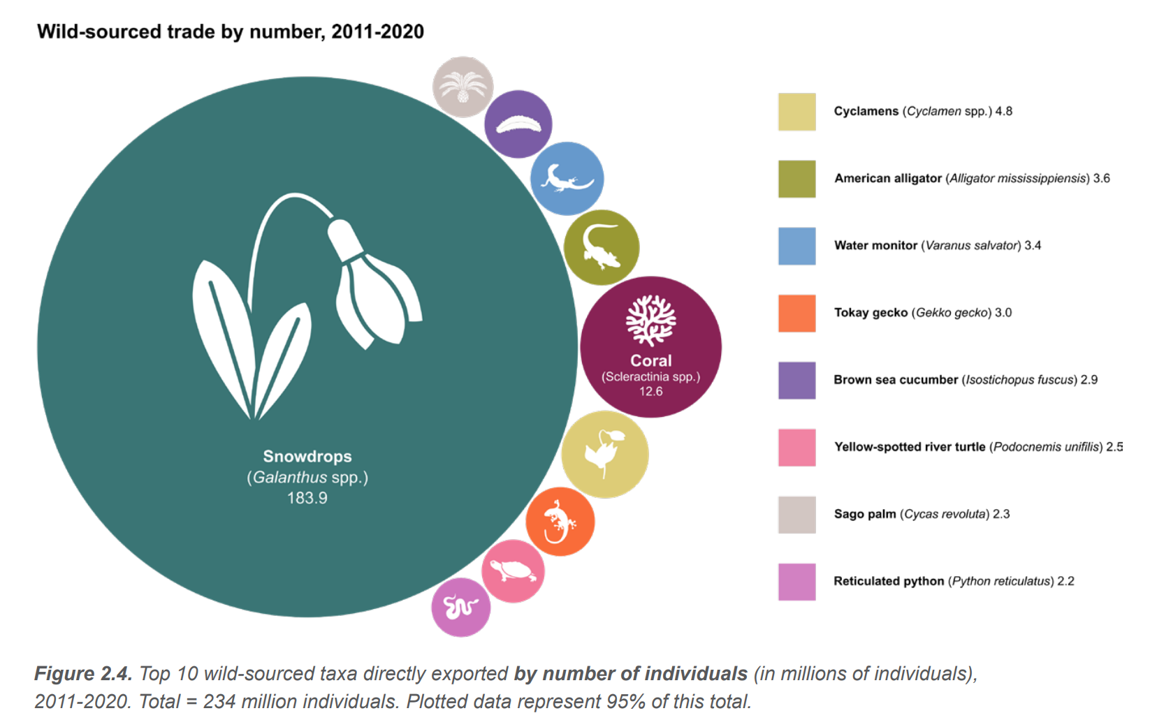 雪花莲位居野生动植物全球贸易个体数榜首1.png