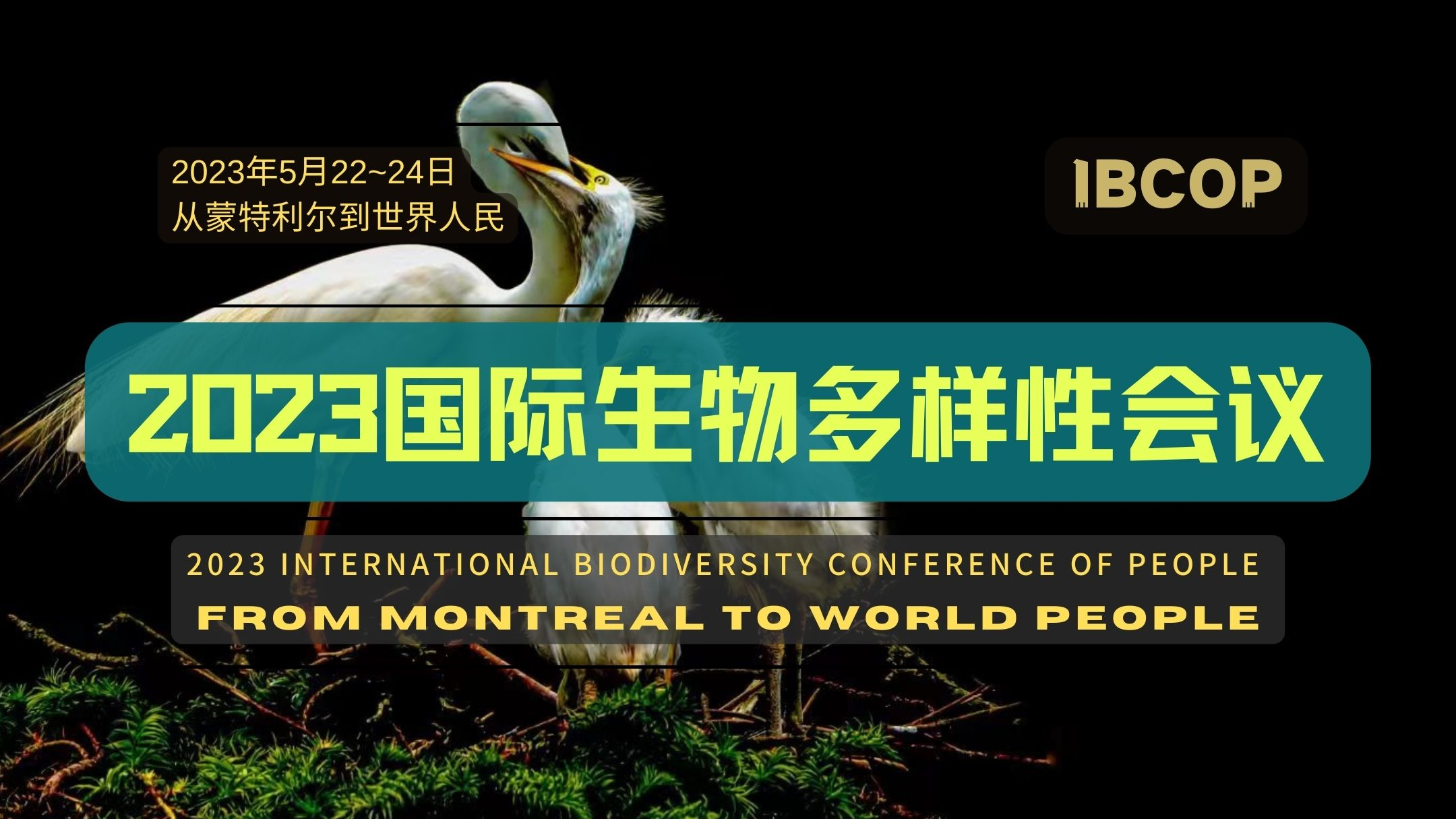 绿会邀请欧洲分类学机构联合会参加“从蒙特利尔到世界人民-2023国际生物多样性会议（IBCOP）”.png