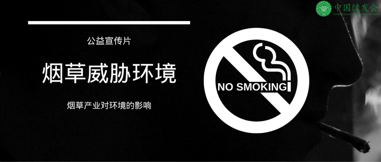 《无烟·未来》视频首发：从健康到环保，控烟的意识转型提升3.png