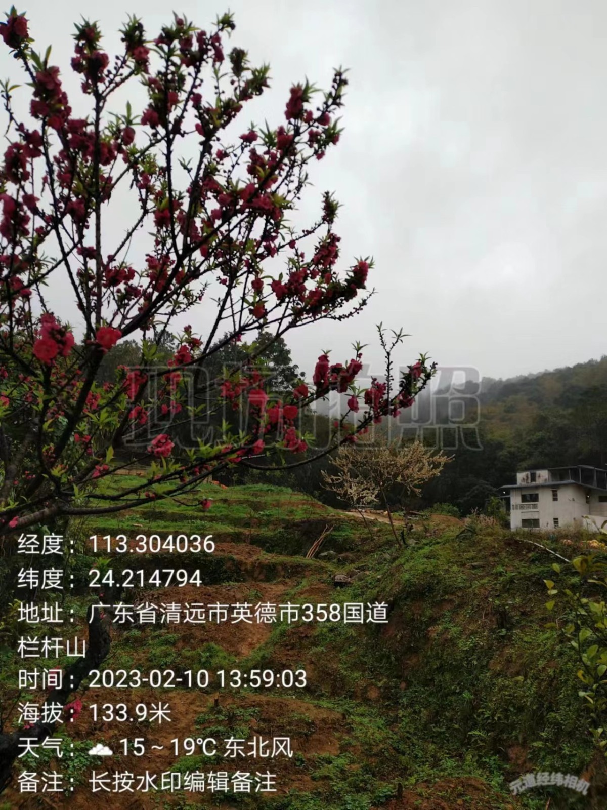 胡元山种植场（Cs114）：依托生态文明驿站，打造多产融合基地1.jpg