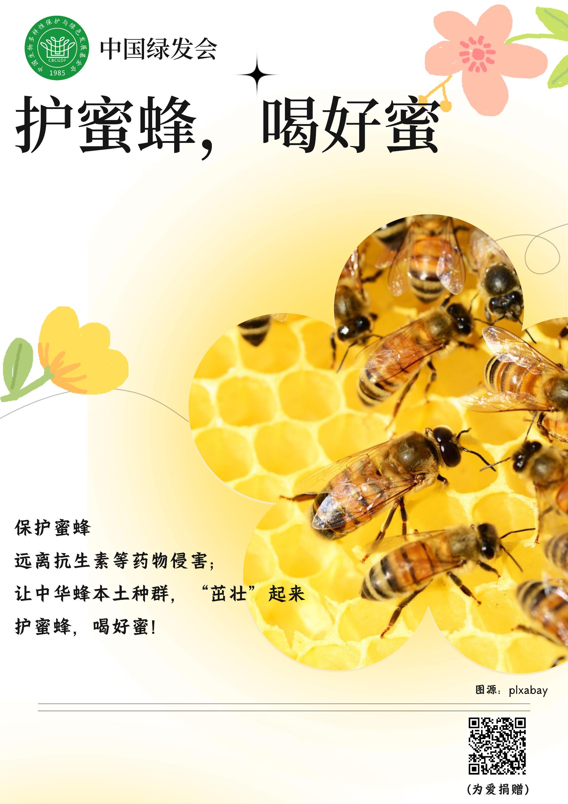 中华蜂对于人类自然栖息地的价值2.jpg