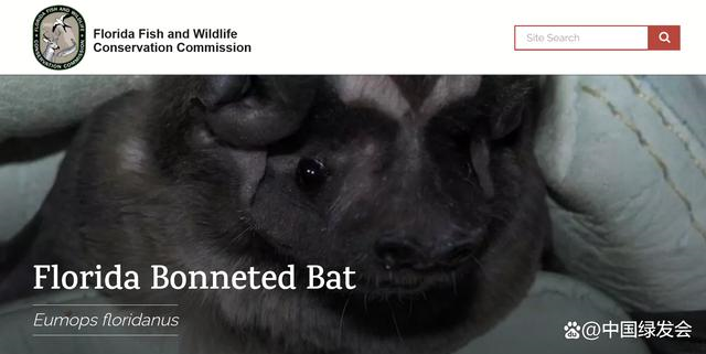 迈阿密野生水上乐园涉嫌破坏濒危蝙蝠栖息地，NGOs起诉美国国家公园管理局3.png