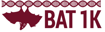 “千蝠联盟”拟对全球1400种蝙蝠进行基因组测序.png