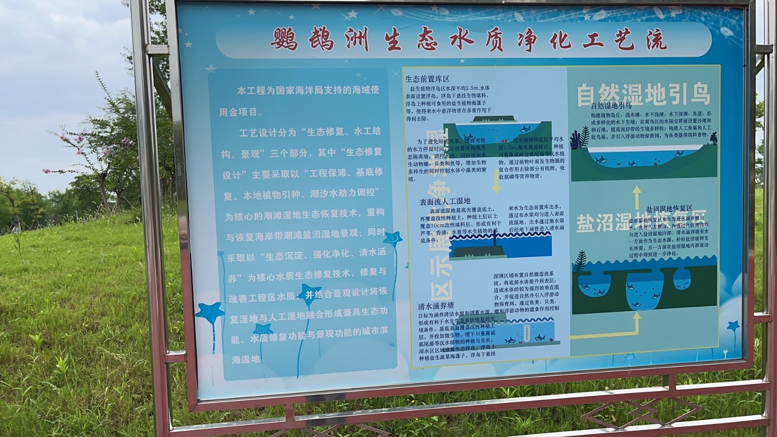 周晋峰调研上海鹦鹉洲生态湿地4.jpg
