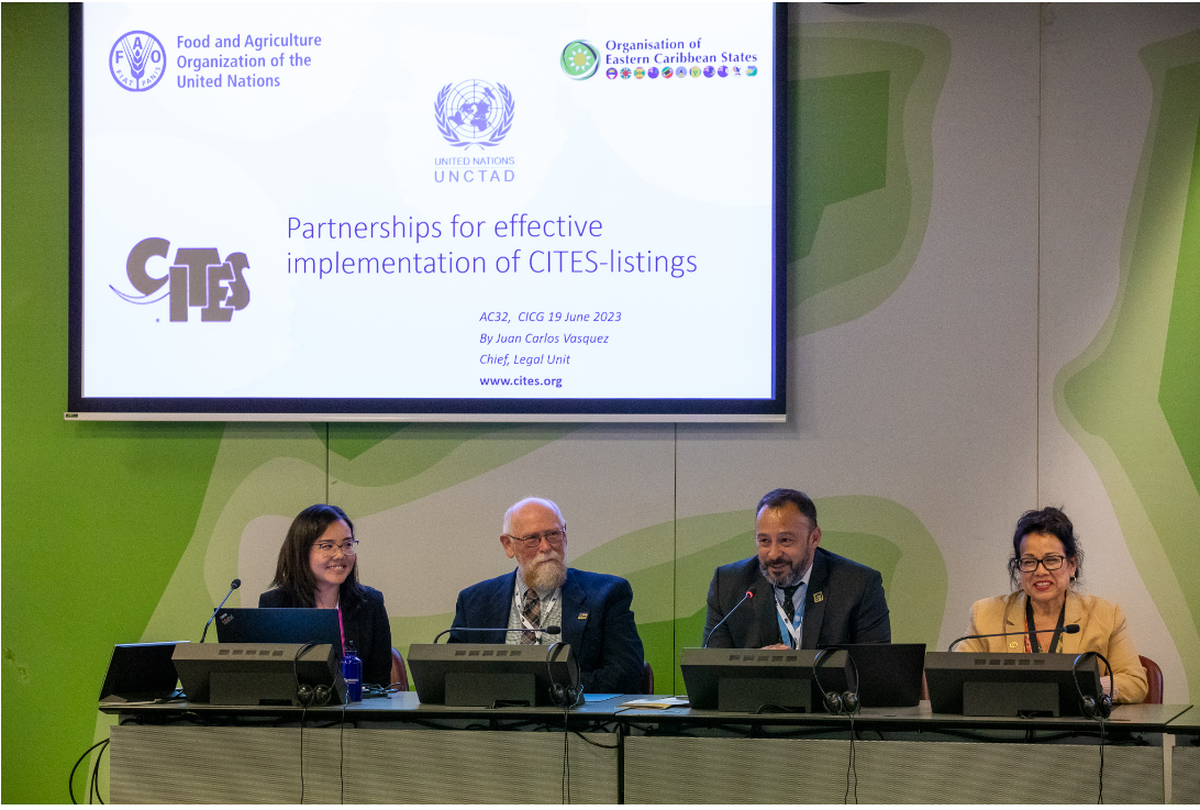 FAO-CITES：加强合作，促进鱼及其产品的可持续和合法贸易1.png